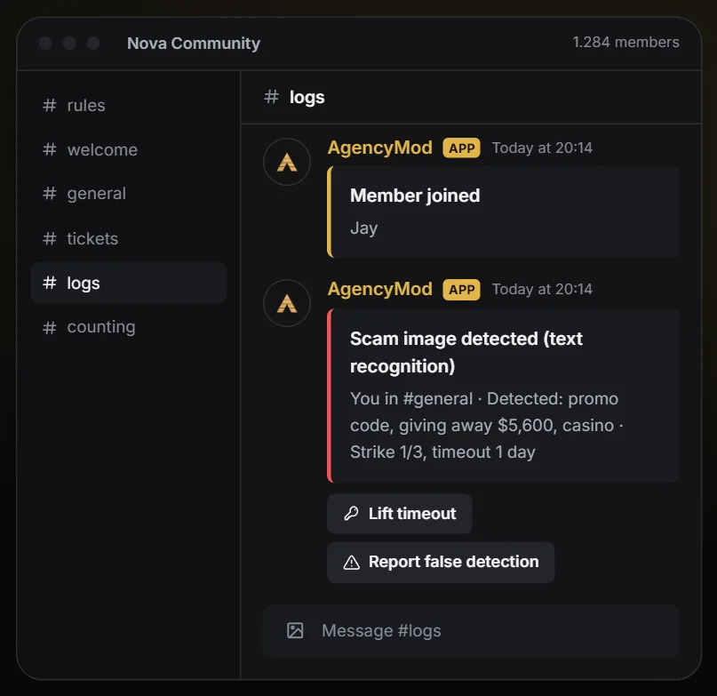 Auto moderation: This is how it looks in Discord